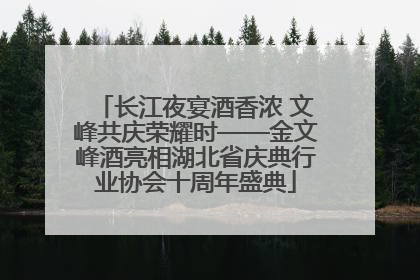 长江夜宴酒香浓 文峰共庆荣耀时——金文峰酒亮相湖北省庆典行业协会十周年盛典